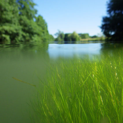 continuité écologique