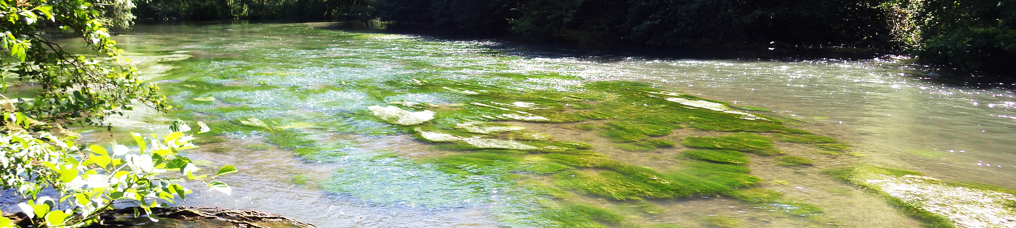La rivière et vous