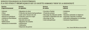 services écologiques livret découverte biodiversité Fondation nicolas hulot