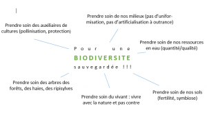 pour une biodiversite sauvegardee