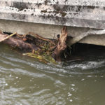 Embâcle sous le pont