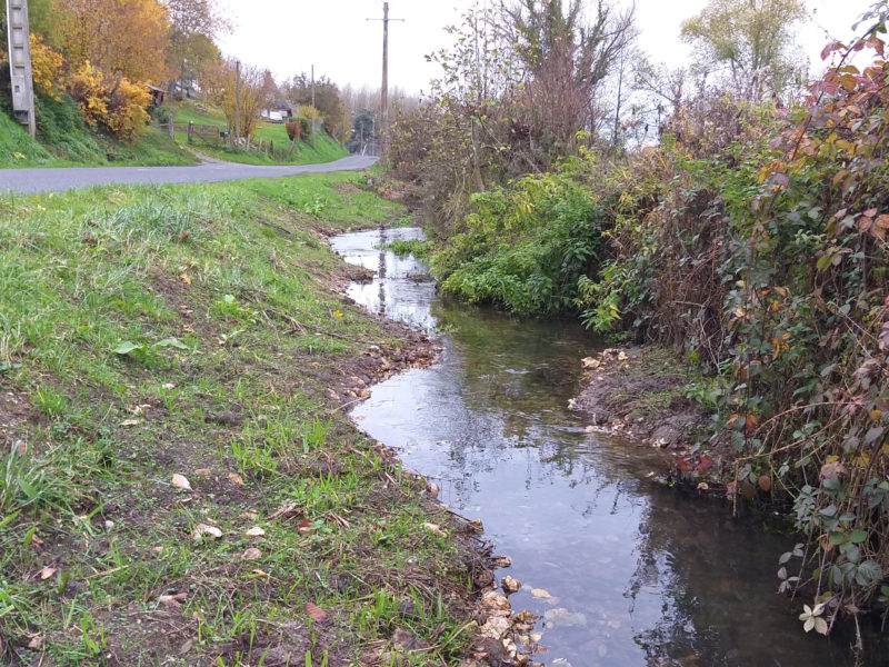 restauration-ecologique-du-ruisseau-de-freneuse