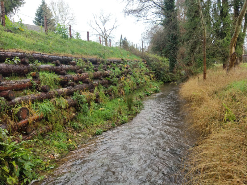 restauration-dune-berge-en-caisson-vegetalise