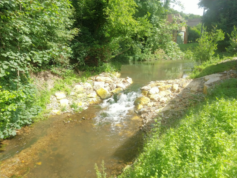 restauration-ecologique-du-seuil-compin